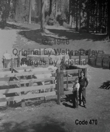 Corral at Pinecrest